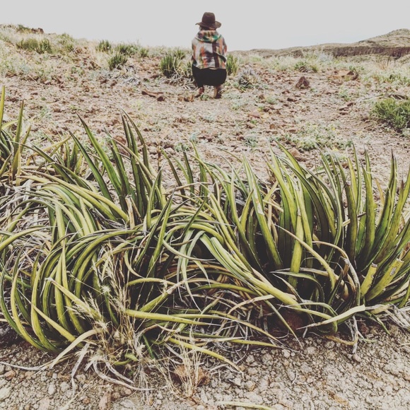 Meet your Posher, Sarah - Picture 7 of 8